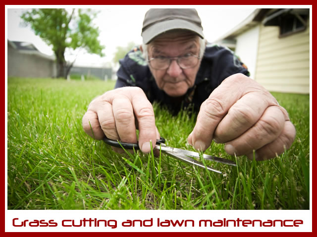 Grass cutting and lawn maintenance